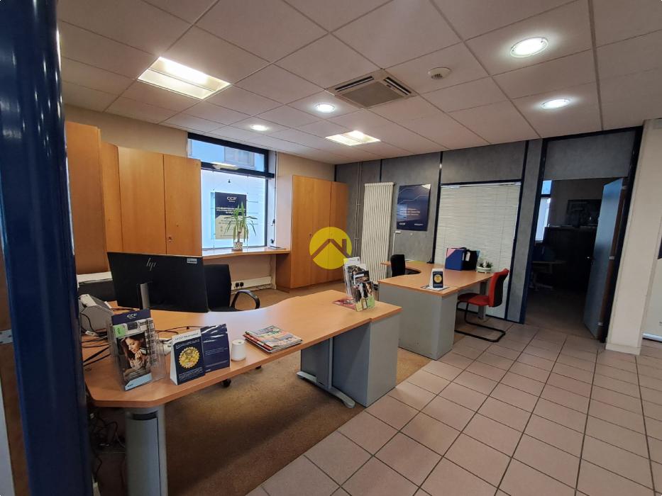 Opportunité unique !