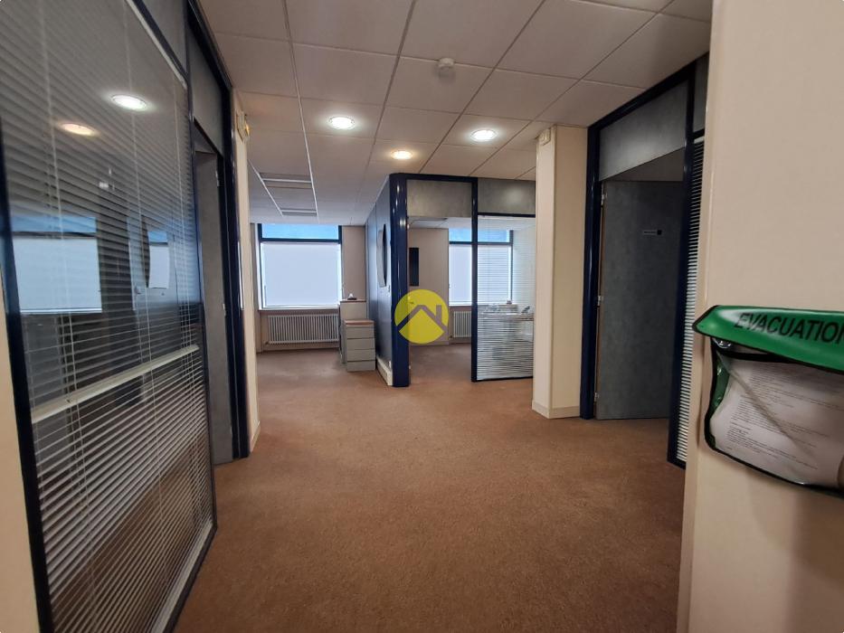 Opportunité unique !