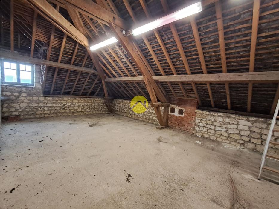 Opportunité unique !