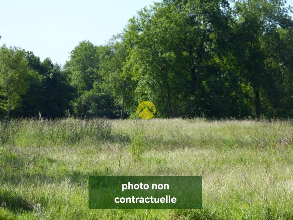 Terrain agricole 7195 m²