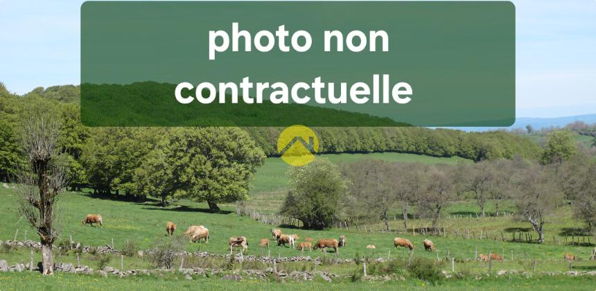 Terrain agricole 7195 m²