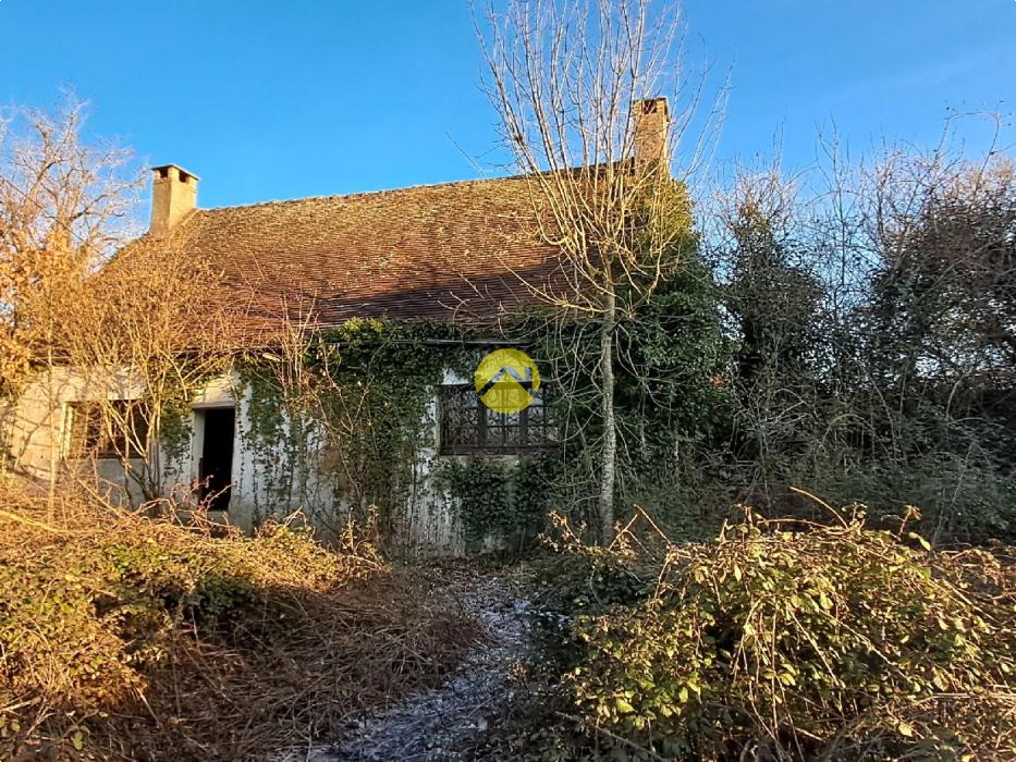 Maison avec grand jardin