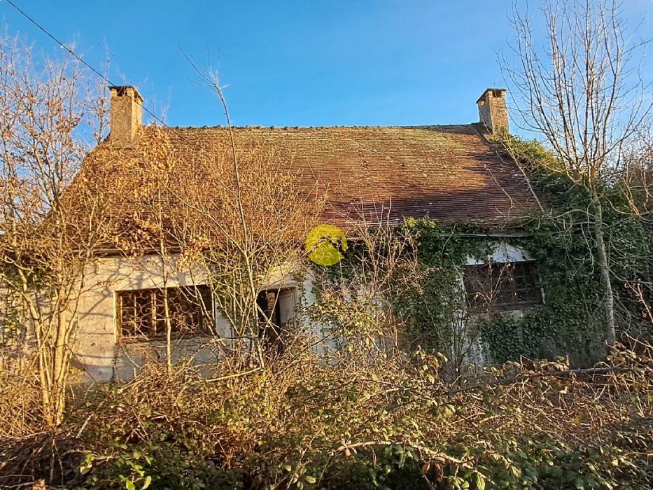 Maison avec grand jardin