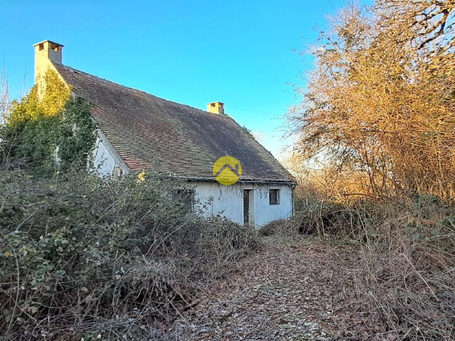 Maison avec grand jardin