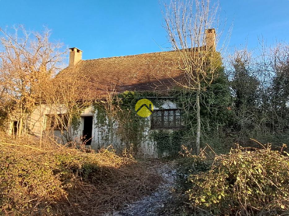 Maison avec grand jardin