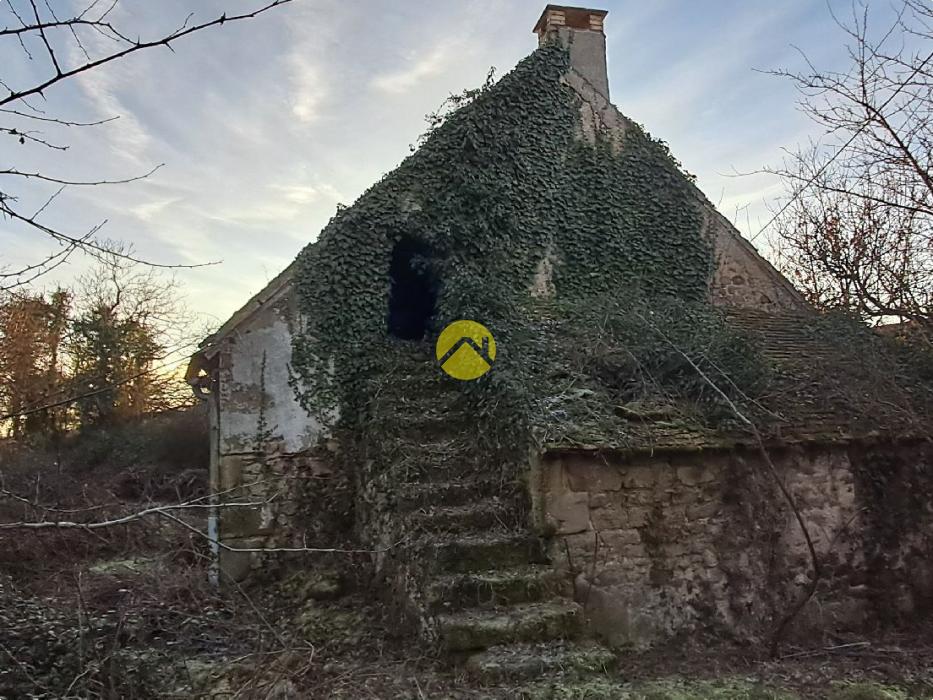 Maison avec grand jardin