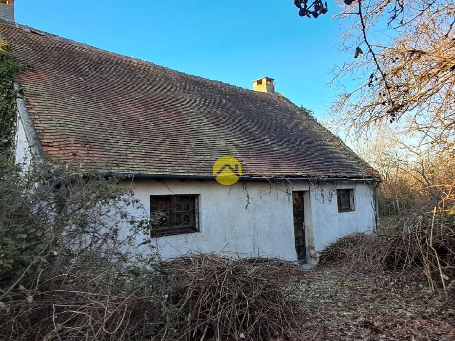 Maison avec grand jardin
