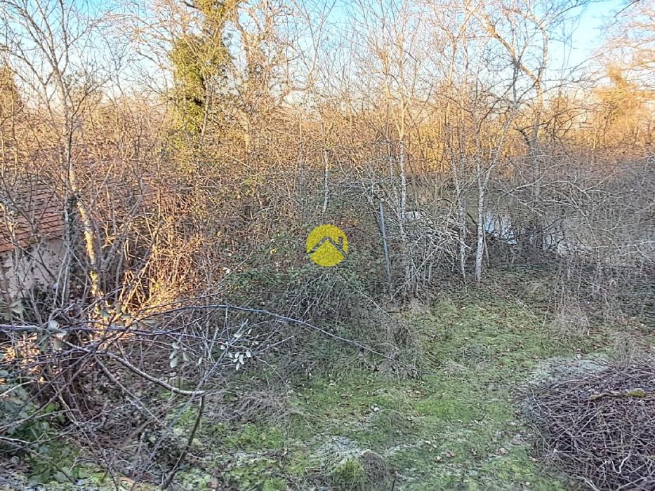 Maison avec grand jardin