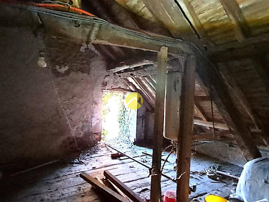 Maison avec grand jardin