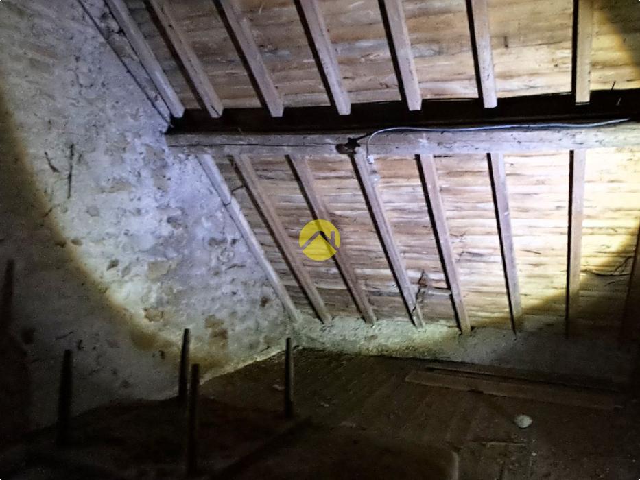 Maison avec grand jardin