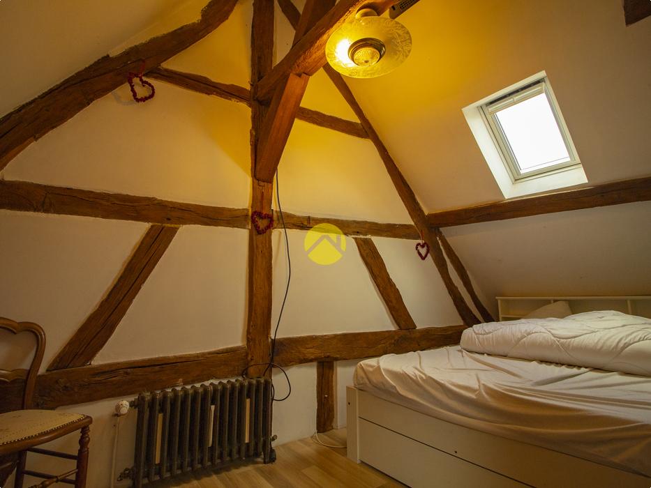 CHARMANTE SOLOGNOTE RENOVEE