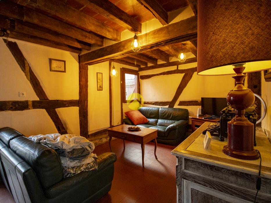 CHARMANTE SOLOGNOTE RENOVEE