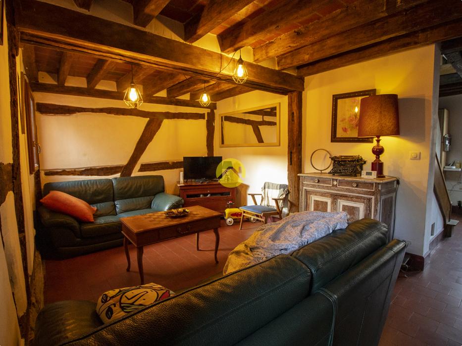 CHARMANTE SOLOGNOTE RENOVEE