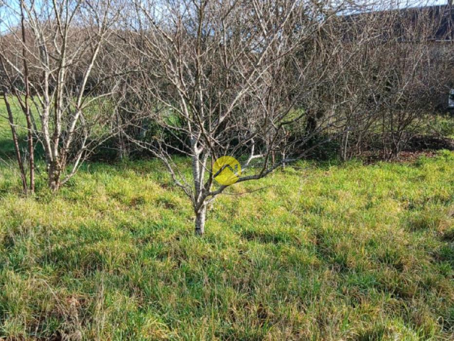 Petite maison à rénover