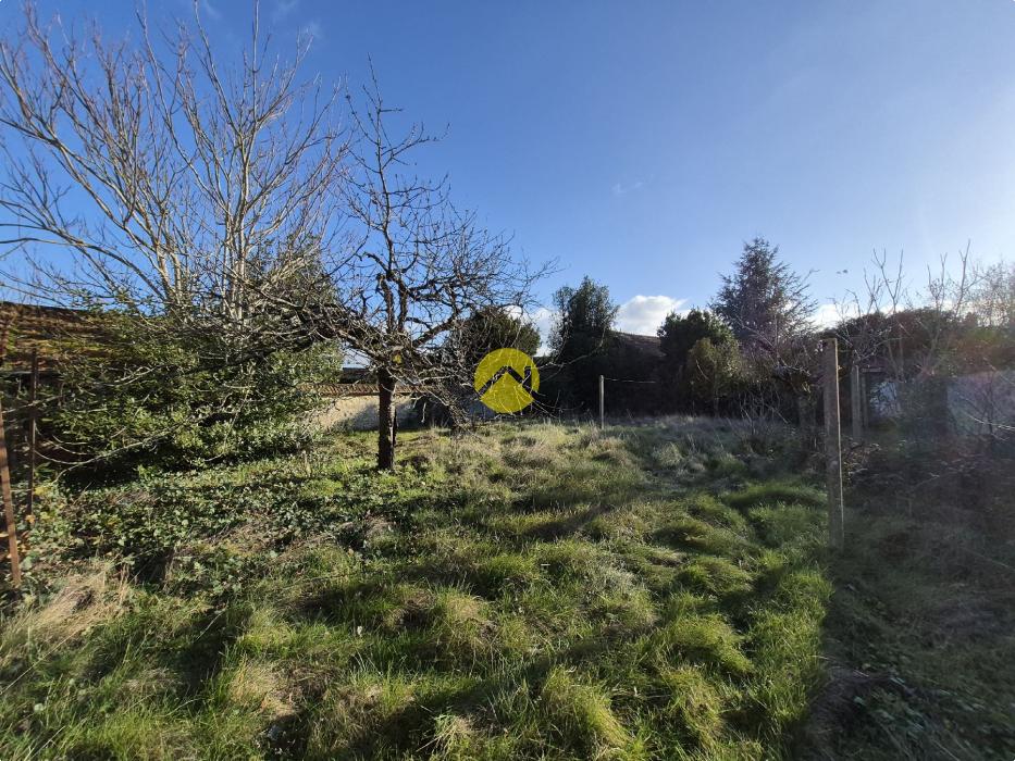 PROJET DE VIE AMBITIEUX