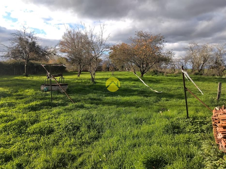 MAISON DE VILLAGE PAISIBLE