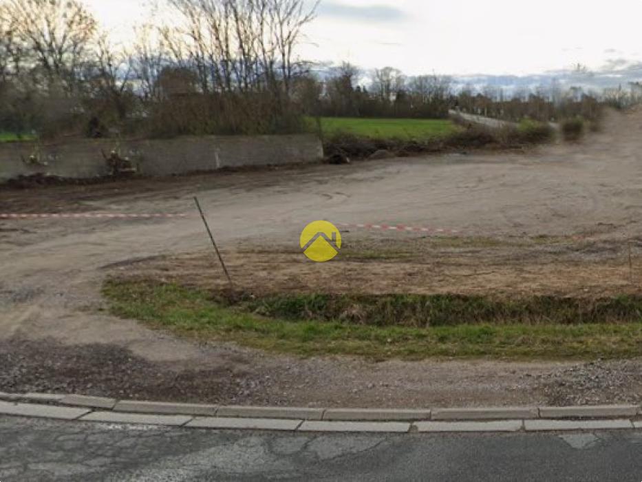 Maison + BAR (licence IV) + Parking