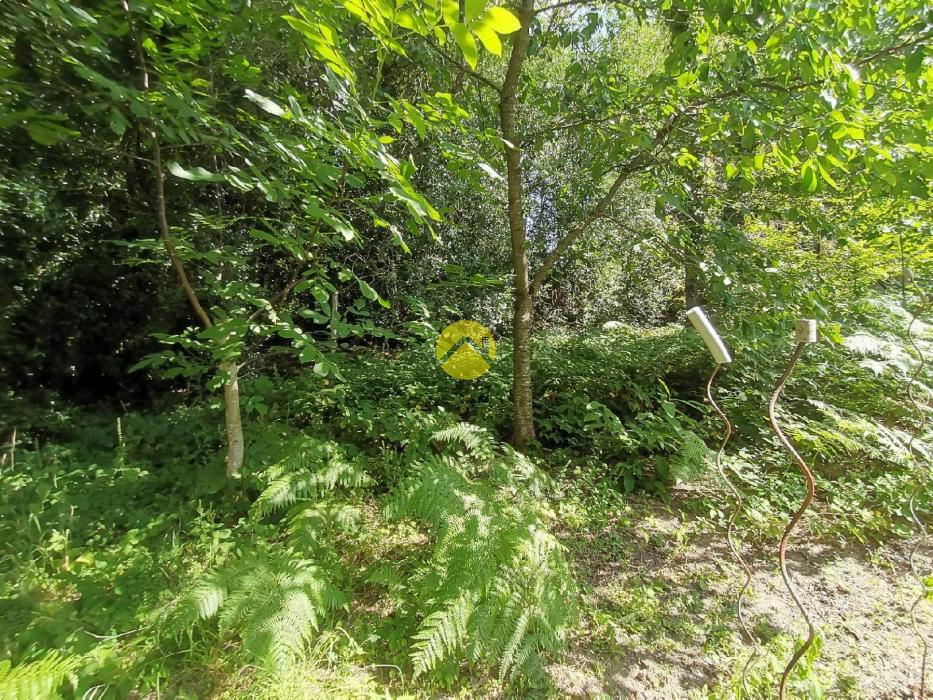 2 Maisons + 2 granges