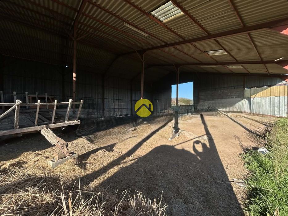  Fermette 1 hectare + Bâtiments