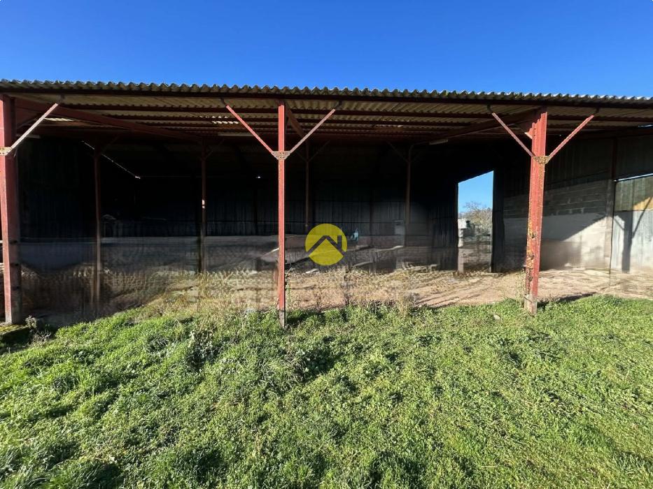  Fermette 1 hectare + Bâtiments