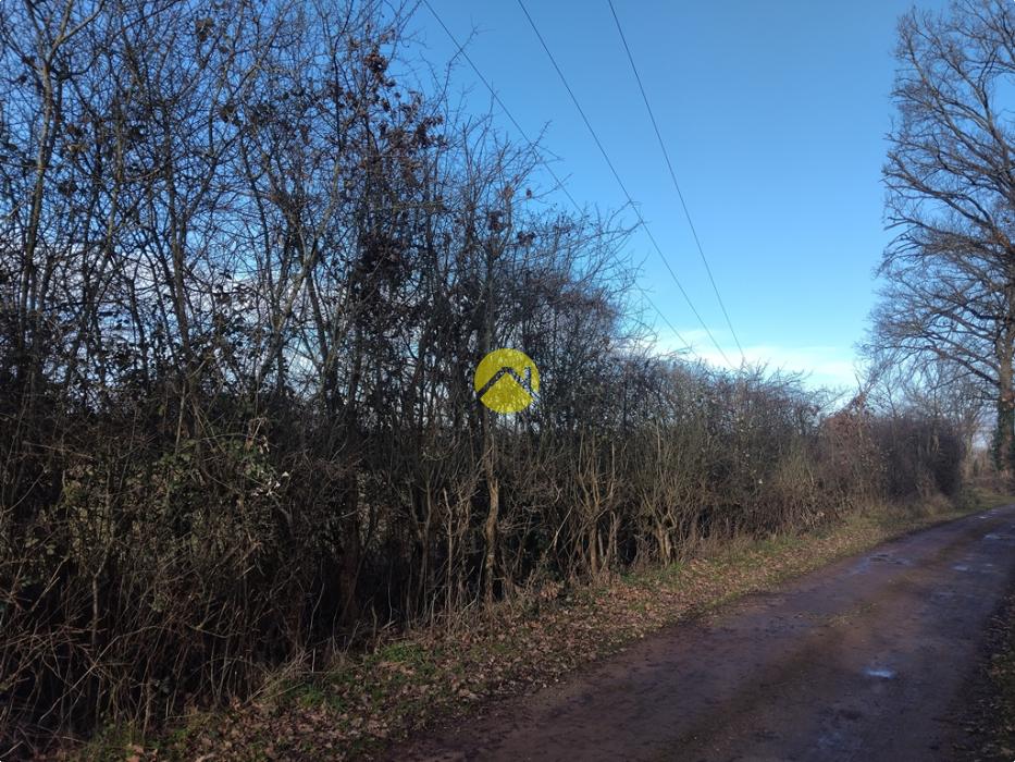 A bâtir proche étang et forêt