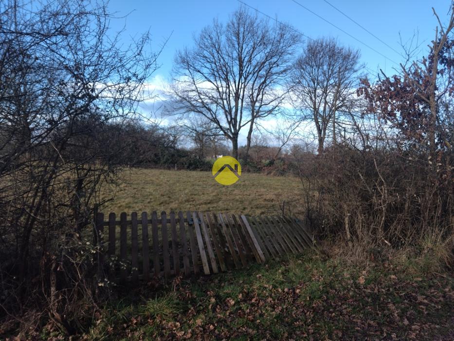 A bâtir proche étang et forêt