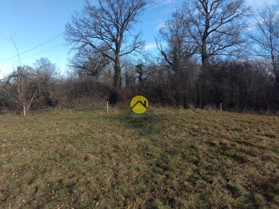 A bâtir proche étang et forêt