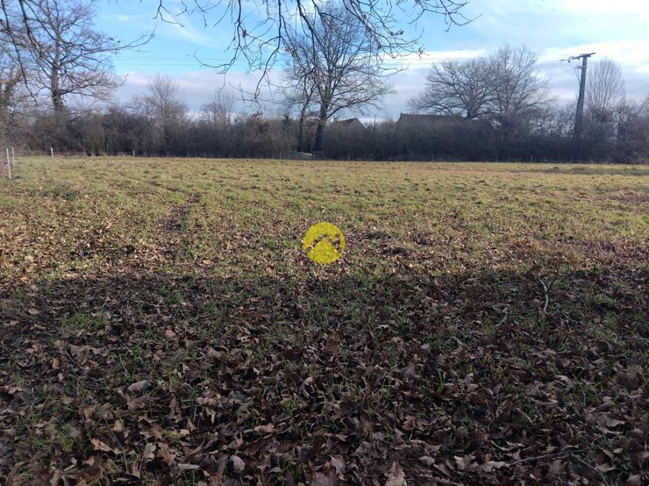 A bâtir proche étang et forêt
