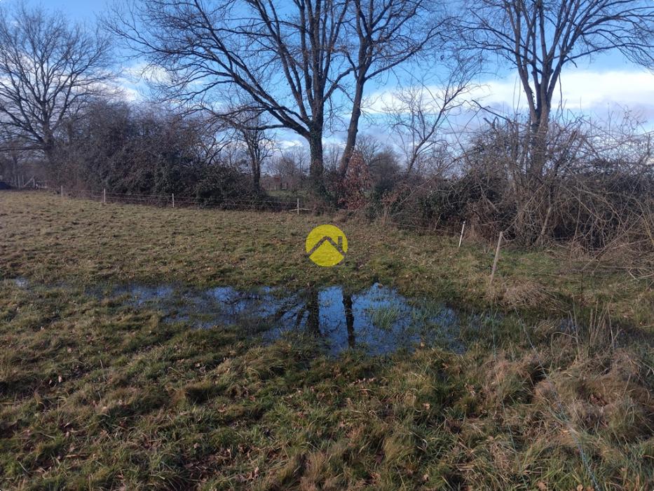 A bâtir proche étang et forêt