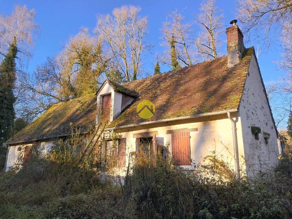 RARE Sur le Secteur!