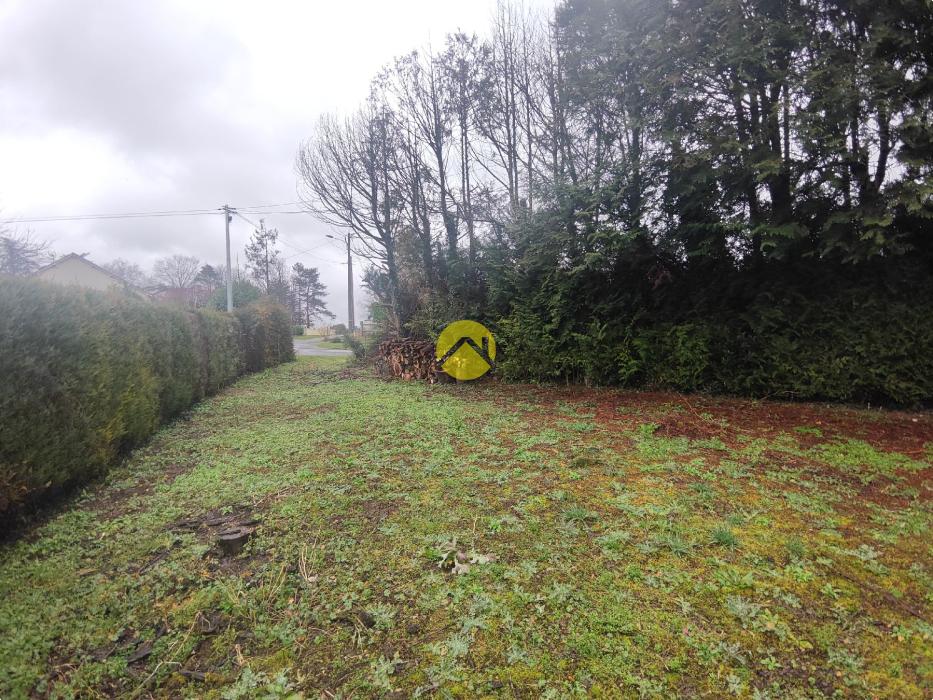 MAGNIFIQUE TERRAIN A LA CAMPAGNE 
