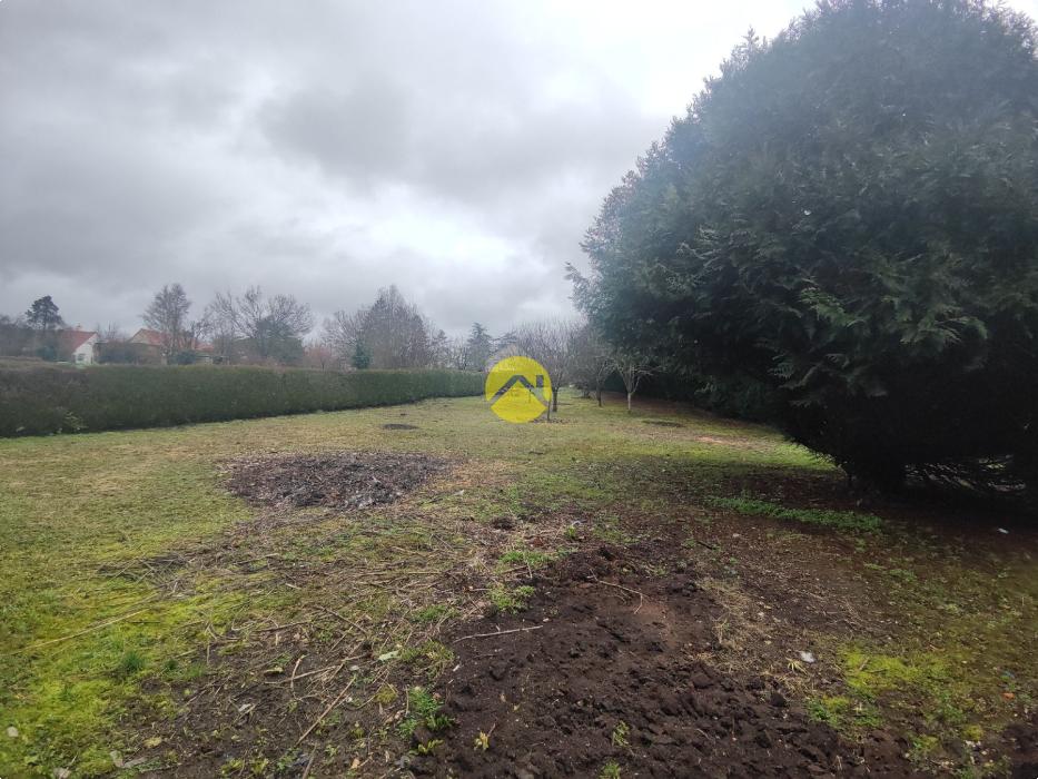 MAGNIFIQUE TERRAIN A LA CAMPAGNE 