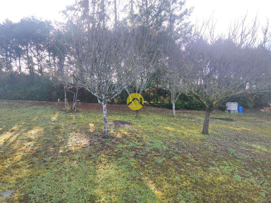 MAGNIFIQUE TERRAIN A LA CAMPAGNE 