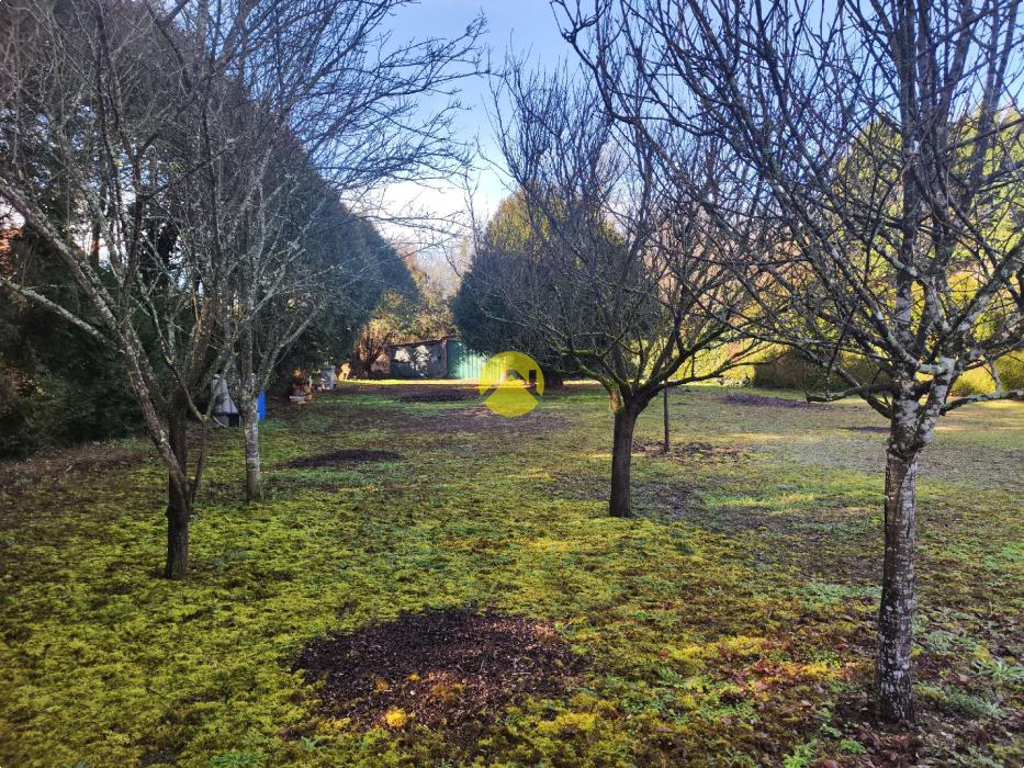 MAGNIFIQUE TERRAIN A LA CAMPAGNE 