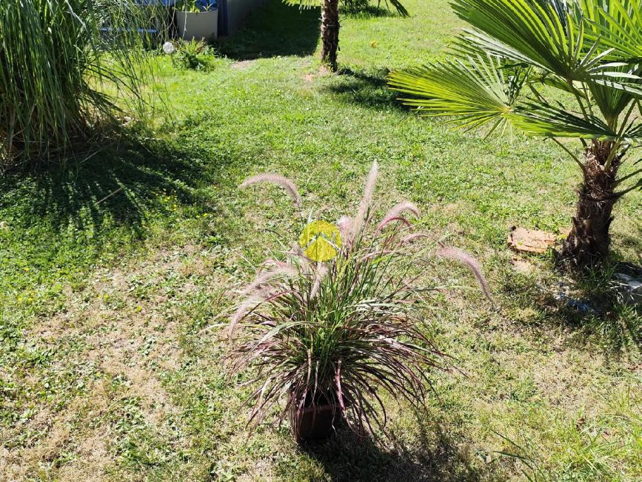 GRANDE MAISON FAMILIALE 5 CHAMBRES