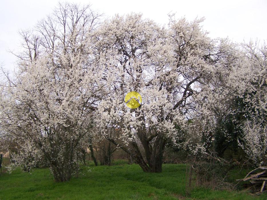 A RENOVER TOITURE NEUVE