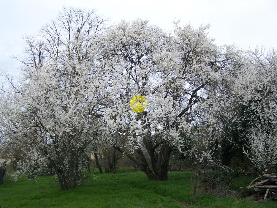 A RENOVER TOITURE NEUVE