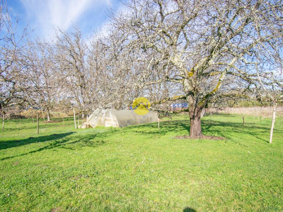 Ensemble de 2 maisons avec hangar