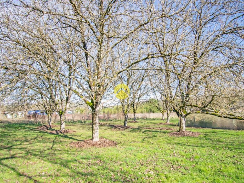 Ensemble de 2 maisons avec hangar