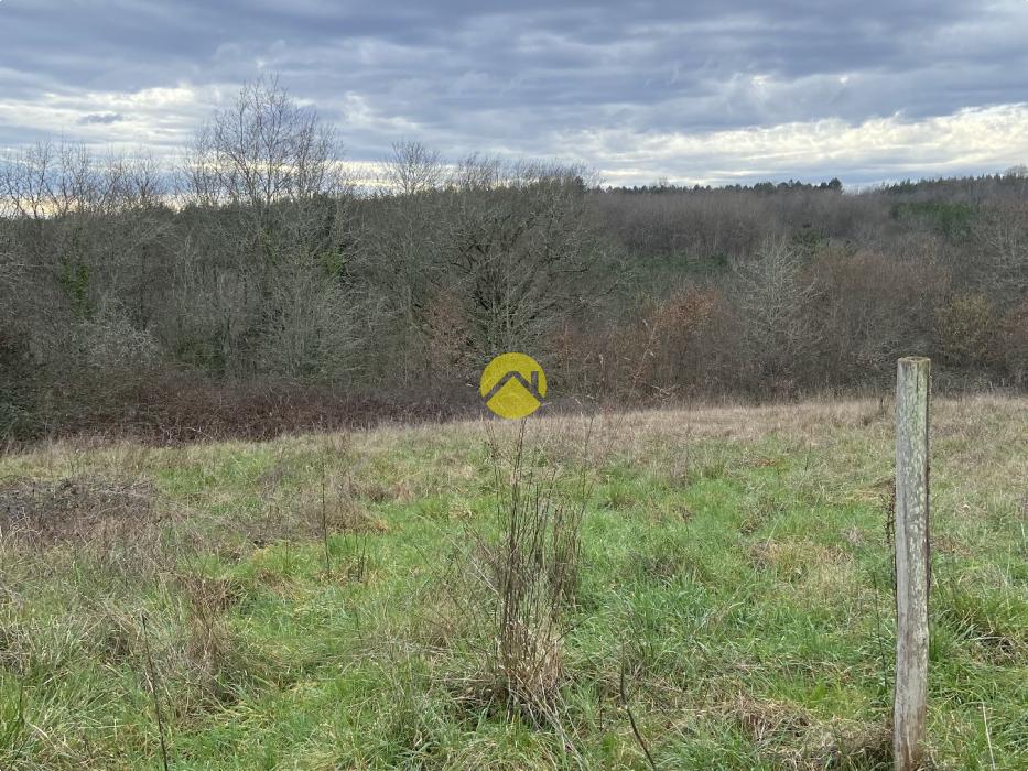 Agréable maison à découvrir 