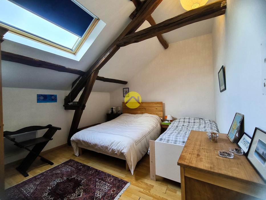 PEPITE DOUILLETTE CENTRE VILLE