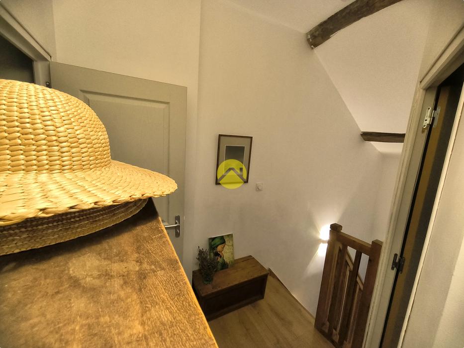 PEPITE DOUILLETTE CENTRE VILLE