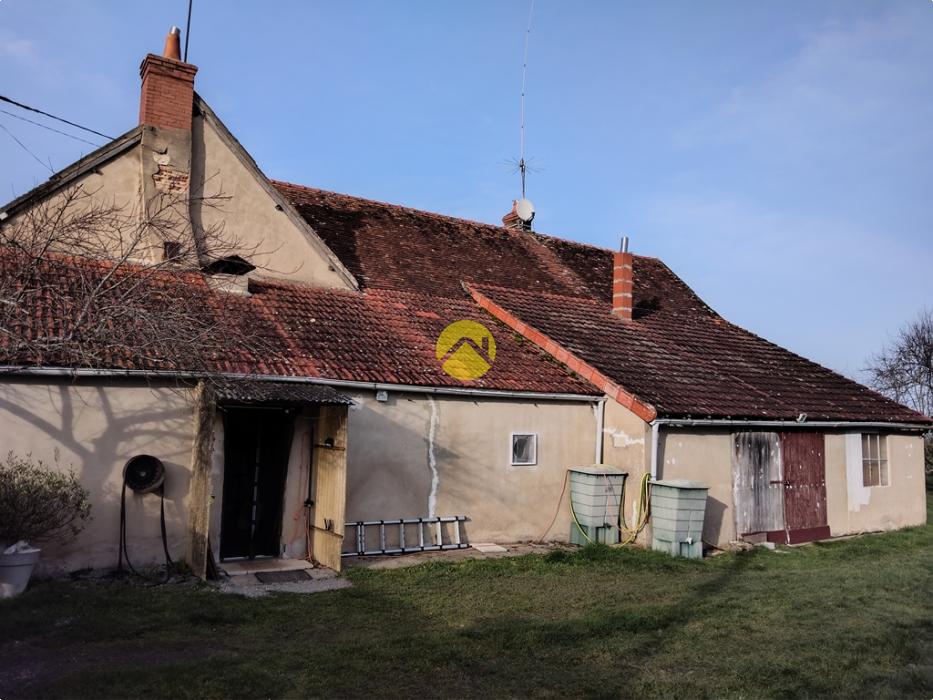 Forêt de Tronçais à 100m