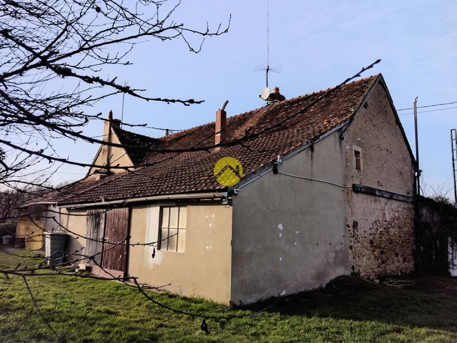 Forêt de Tronçais à 100m