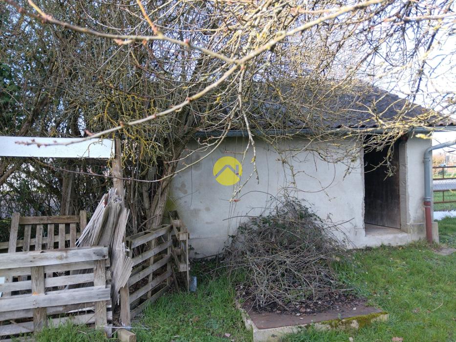 Forêt de Tronçais à 100m