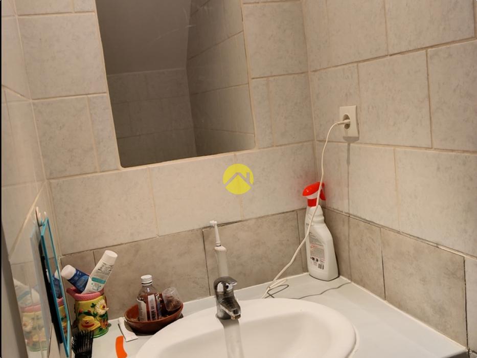 Forêt de Tronçais à 100m