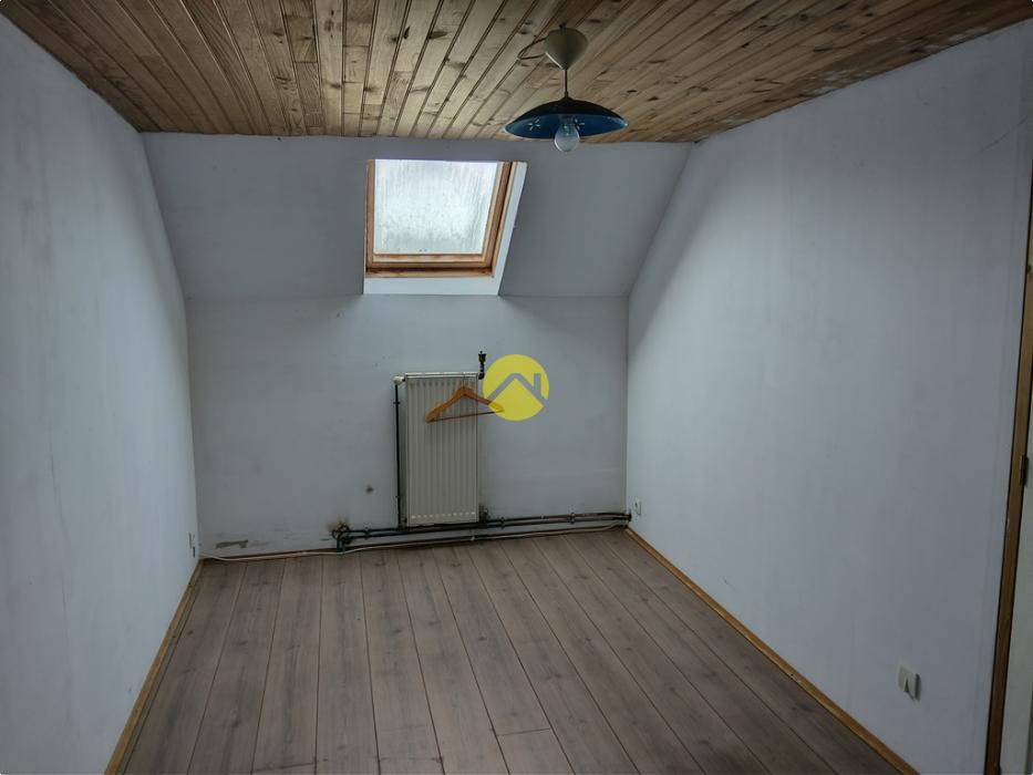 Forêt de Tronçais à 100m