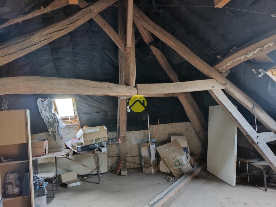 Forêt de Tronçais à 100m