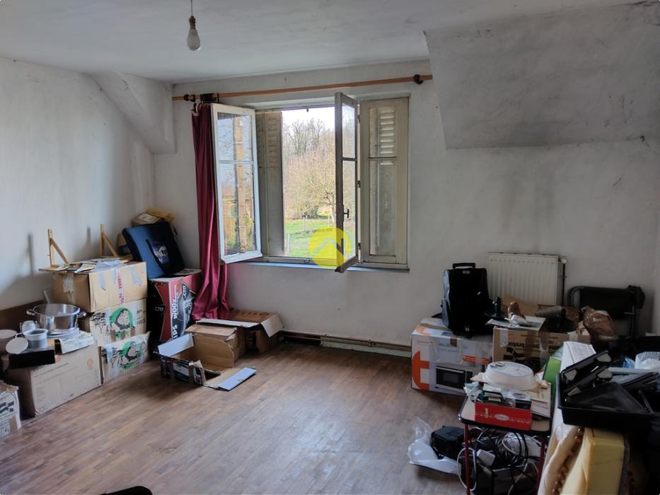 Forêt de Tronçais à 100m