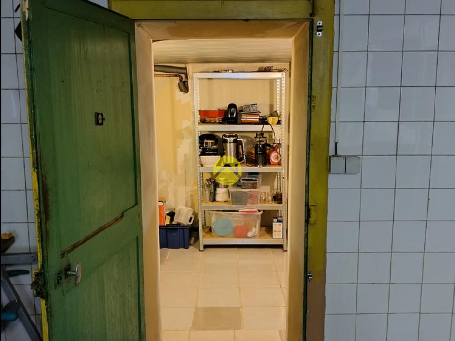 Forêt de Tronçais à 100m